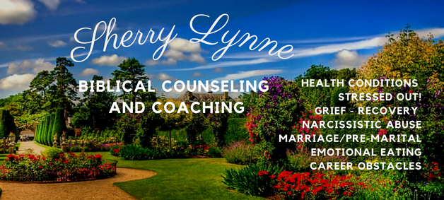 Biblical Counseling and Coaching: Career Obstacles, Grief, Narcissistic, Abuse, Health, Pre-Marital, Marriage, Stress, Addictions, Emotional Eating...WITHOUT YEARS OF COUNSELING!