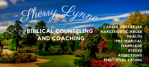 Biblical Counseling and Coaching: Career Obstacles, Narcissistic, Abuse, Health, Pre-Marital, Marriage, Stress, Addictions, Emotional Eating...WITHOUT YEARS OF COUNSELING!